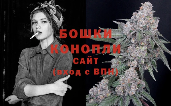 2c-b Дмитриев