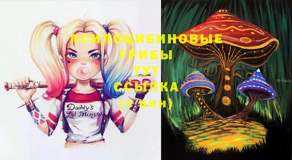2c-b Дмитриев