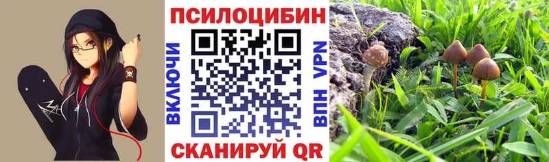 Купить  Приволжск  Галлюциногенные грибы ЛСД 