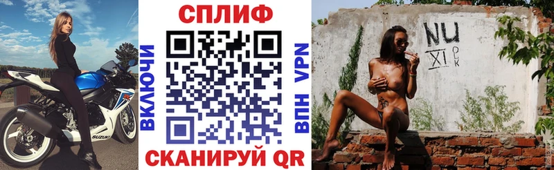 Купить закладки  Приволжск  Бошки марихуана гибрид 
